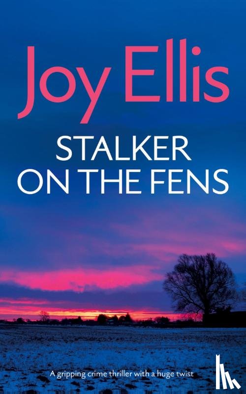 Ellis, Joy - STALKER ON THE FENS a gripping crime thriller with a huge twist