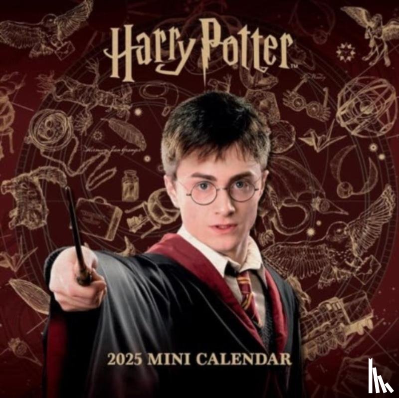  - Harry Potter Mini Calendar 2025