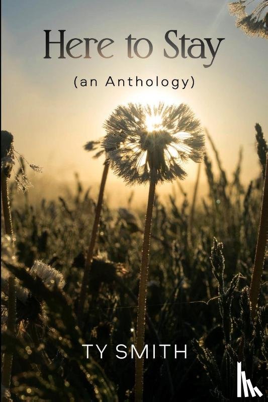 Smith, Ty - Here to Stay (an Anthology)