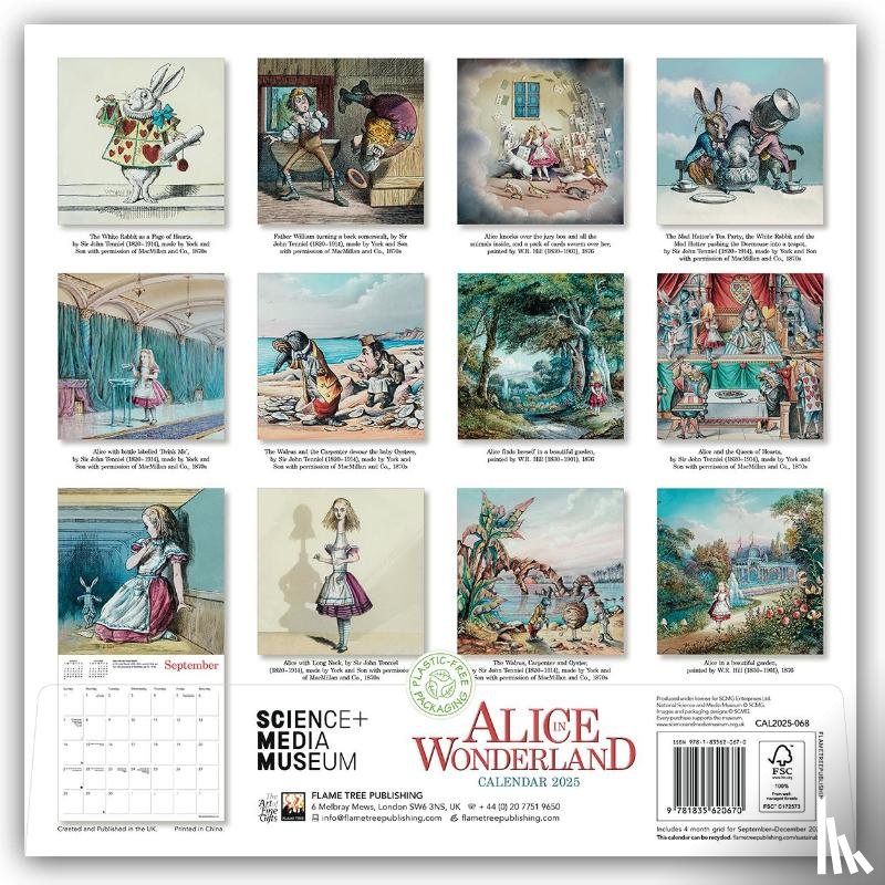 Flame, Tree - Science Museum: Alice in Wonderland Wall Calendar 2025 (Art Calendar)