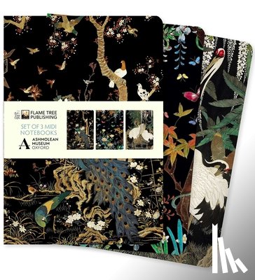 Flame Tree Studio - Ashmolean Museum Set of 3 Midi Notebooks