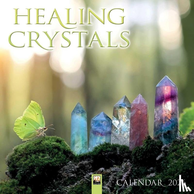 Flame Tree Studio - Healing Crystals Wall Calendar 2026 (Art Calendar)