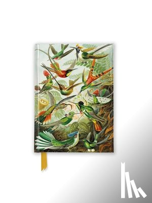 Flame Tree Studio - Ernst Haeckel: Hummingbirds (Foiled Pocket Journal)
