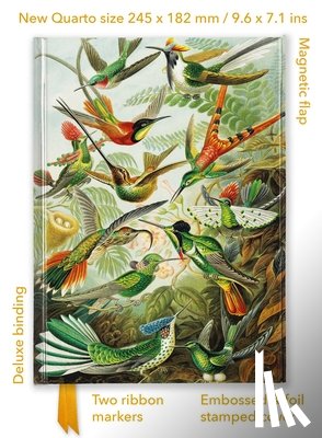 Flame Tree Studio - Ernst Haeckel: Hummingbirds (Foiled Quarto Journal)