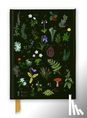 Flame Tree Studio - Anna Stead: The Forest Floor (Foiled Journal)