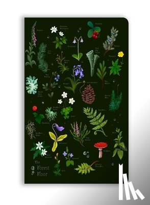 Flame Tree Studio - Anna Stead: The Forest Floor (Soft Touch Journal)