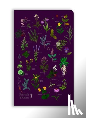 Flame Tree Studio - Anna Stead: For Spells & Potions (Soft Touch Journal)