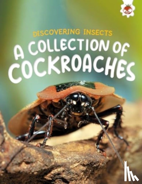 Storm, Rebecca - Discovering Insects: A Collection of Cockroaches