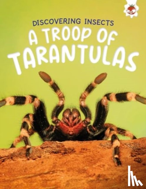 Storm, Rebecca - Discovering Insects: A Troop of Tarantulas