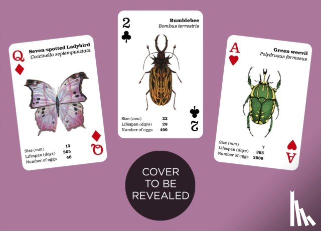  - Brilliant Bugs