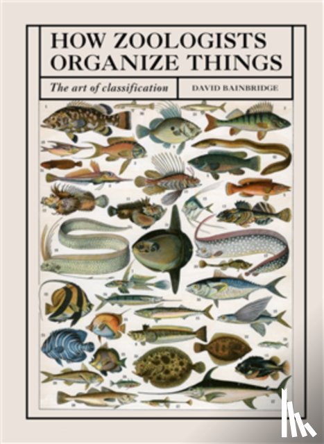 Bainbridge, David - How Zoologists Organize Things