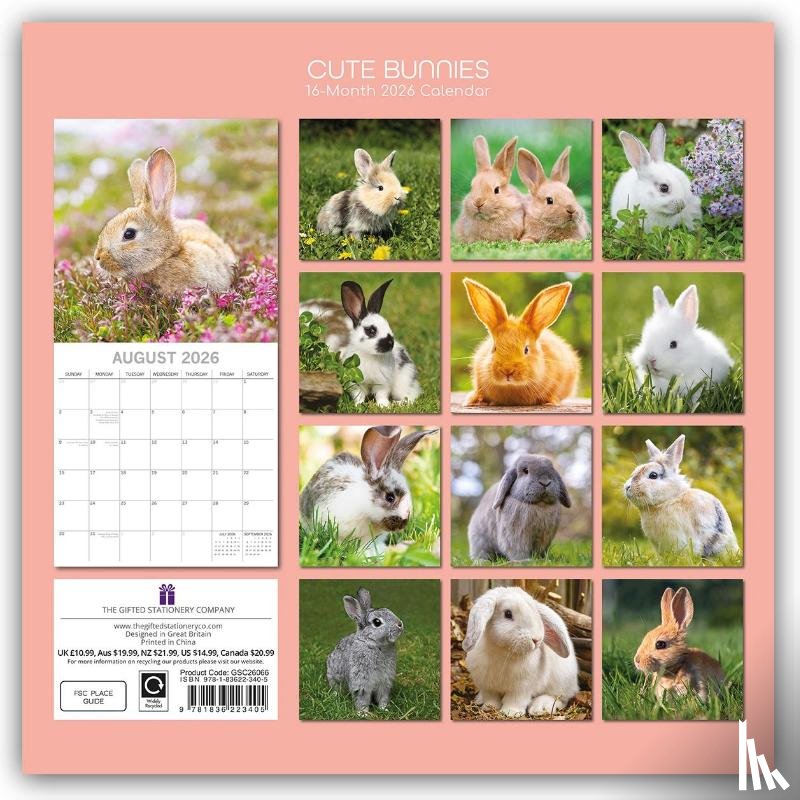 Gifted Stationery Co. Ltd - Cute Bunnies - Niedliche Kaninchen 2026 - 16-Monatskalender