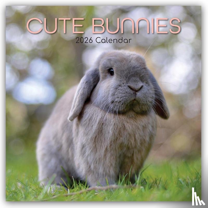 Gifted Stationery Co. Ltd - Cute Bunnies - Niedliche Kaninchen 2026 - 16-Monatskalender