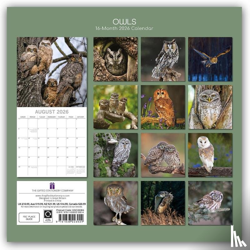Gifted Stationery Co. Ltd - Owls - Eulen 2026 - 16-Monatskalender