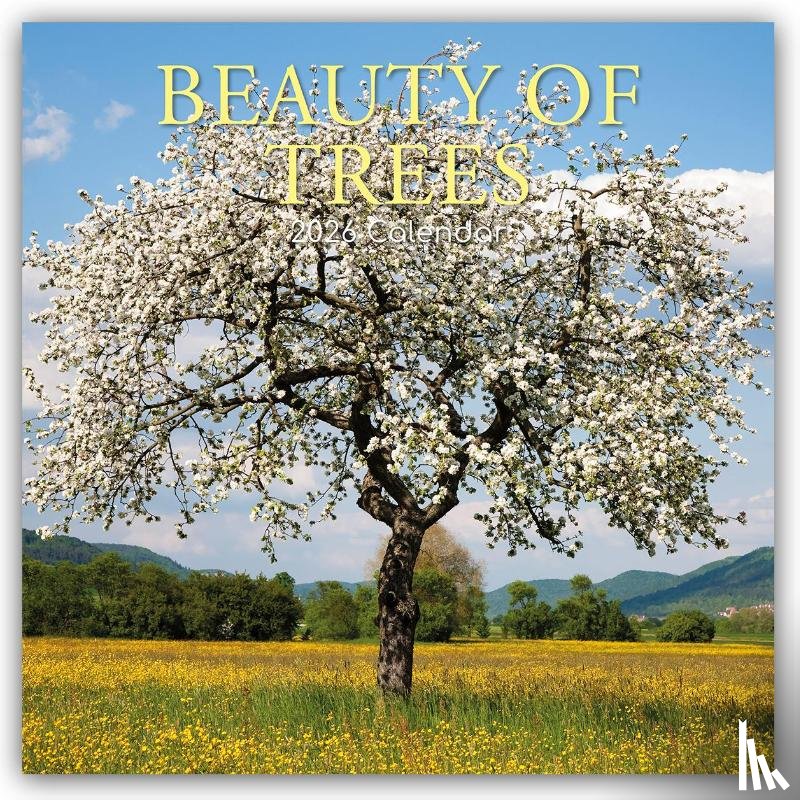 Gifted Stationery Co. Ltd - Beauty of Trees - Die Schönheit der Bäume 2026 - 16-Monatskalender