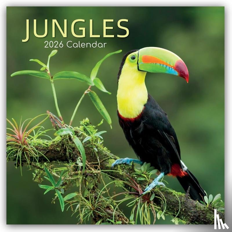 Gifted Stationery Co. Ltd - Jungles - Dschungel 2026 - 16-Monatskalender