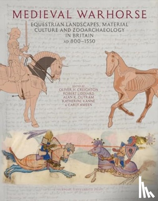  - Medieval Warhorse