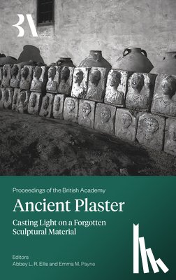  - Ancient Plaster