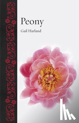 Harland, Gail - Peony