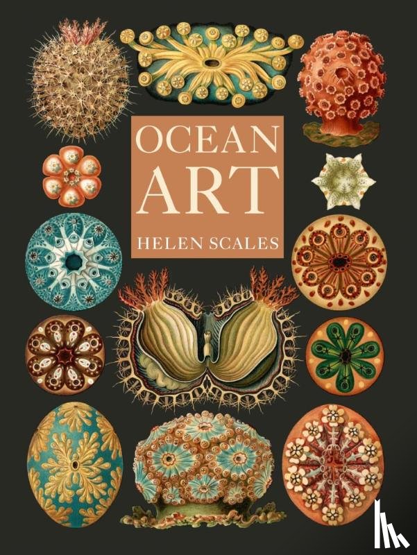 Scales, Helen - Ocean Art