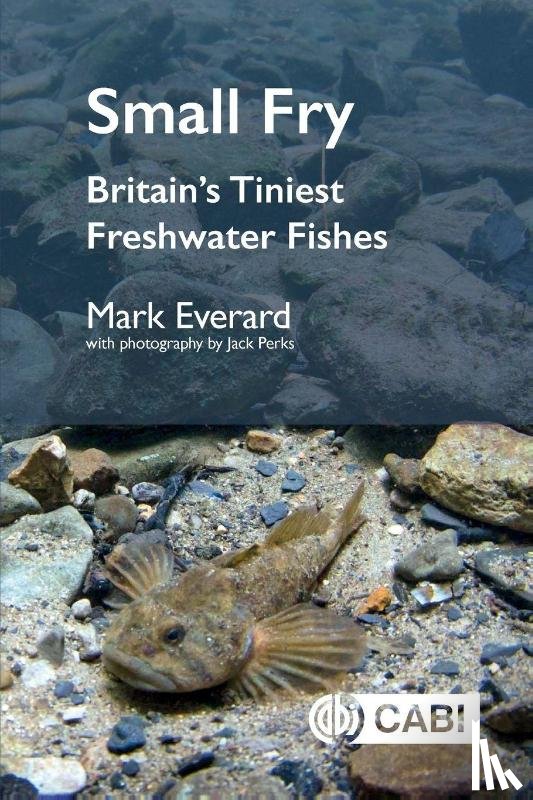 Everard, Mark (University of the West of England - Small Fry