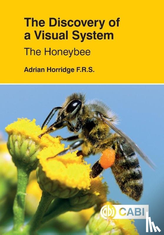 Horridge, Adrian (Formerly of The Australian National University - The Discovery of a Visual System: The Honeybee