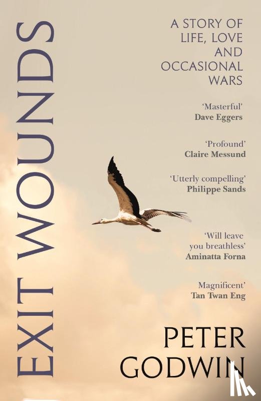 Godwin, Peter - Exit Wounds