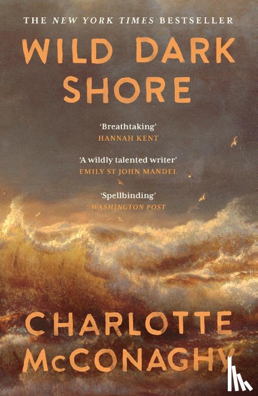 McConaghy, Charlotte - Wild Dark Shore