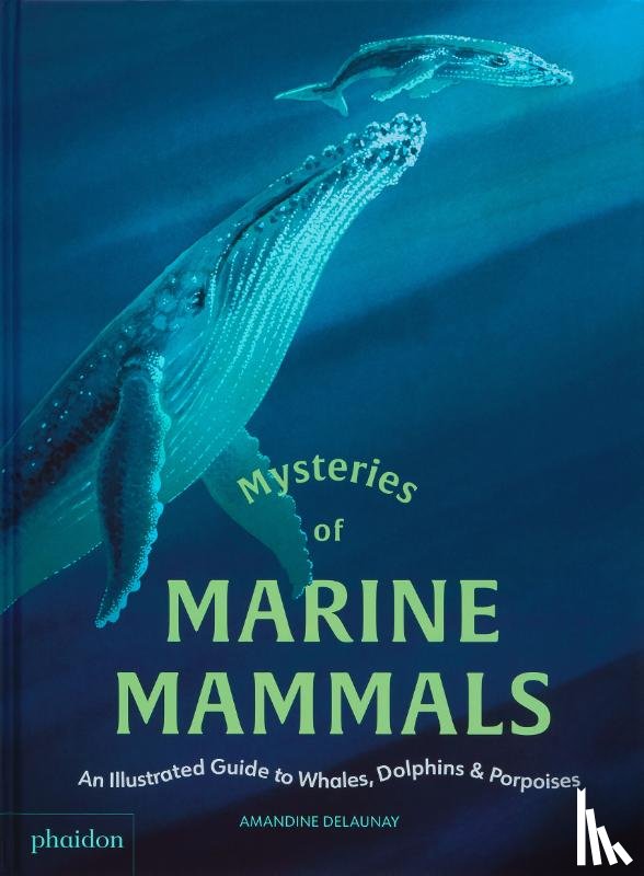 Delaunay, Amandine - Mysteries of Marine Mammals