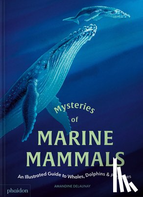 Delaunay, Amandine - Mysteries of Marine Mammals: An Illustrated Guide to Whales, Dolphins, and Porpoises