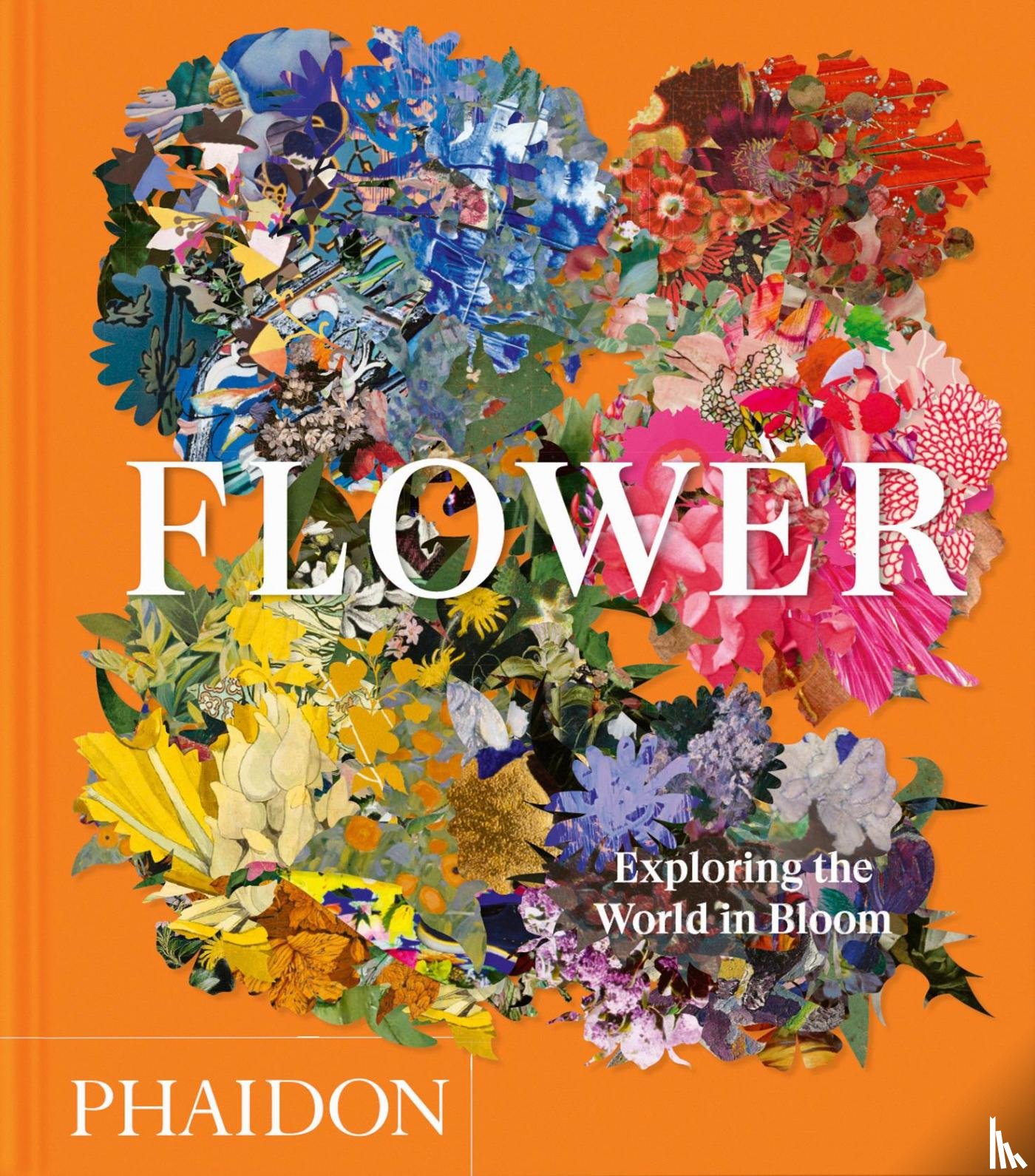 Editors, Phaidon, Pavord, Anna, Connolly, Shane - Flower