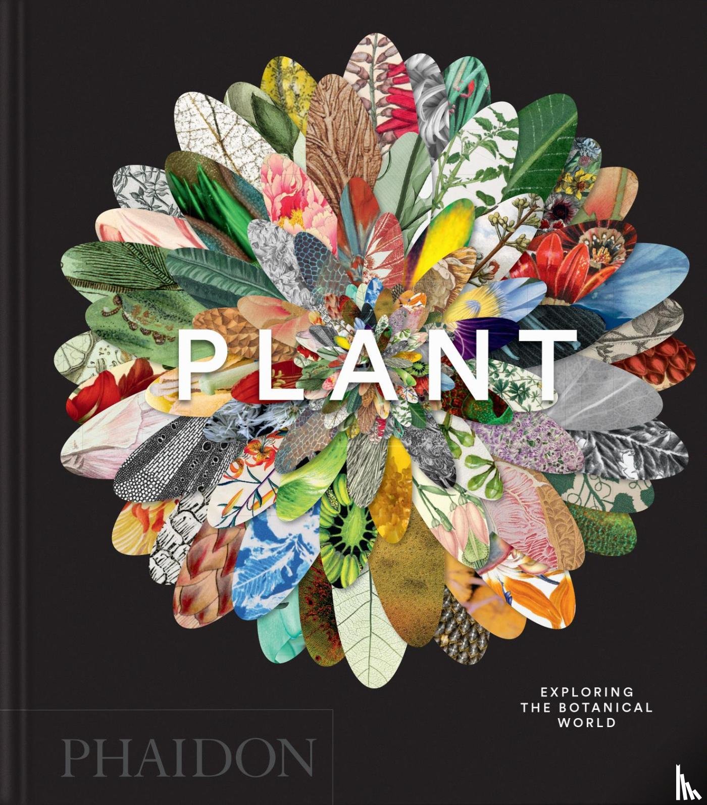 Editors, Phaidon, Compton, James, Rix, Martyn - Plant