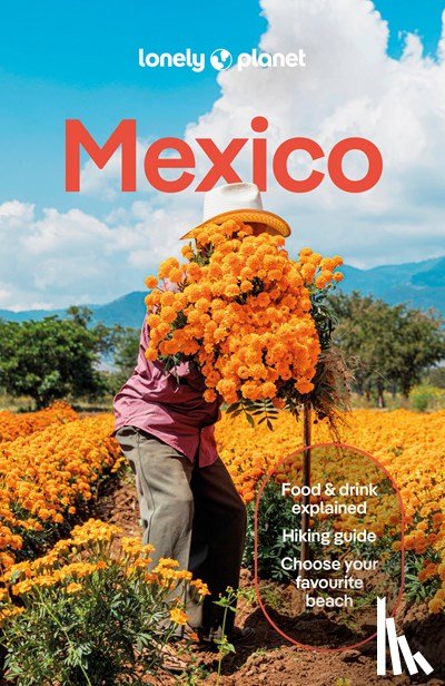  - Lonely Planet Mexico