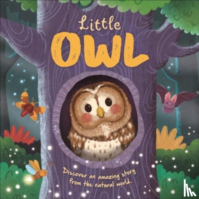 Autumn Publishing - Little Owl