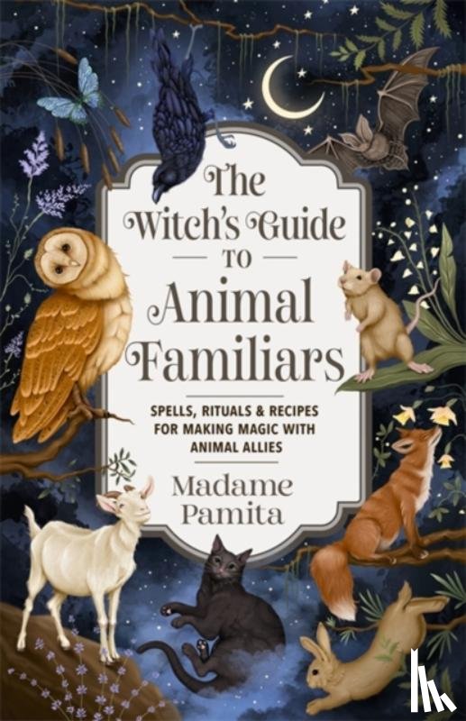 Madame Pamita - The Witch's Guide to Animal Familiars