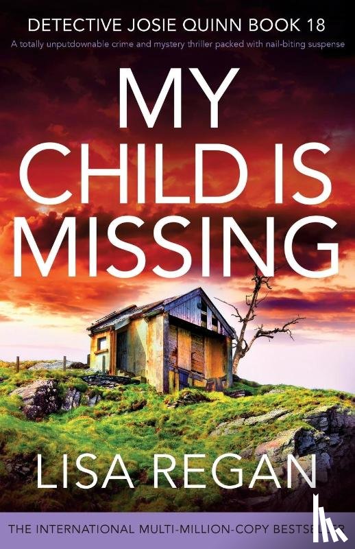 Regan, Lisa - My Child is Missing