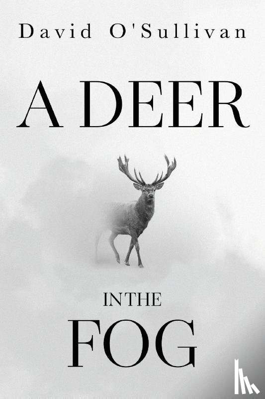 O'Sullivan, David - A Deer in the Fog