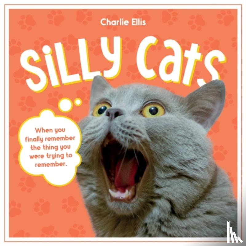 Publishers, Summersdale - Silly Cats