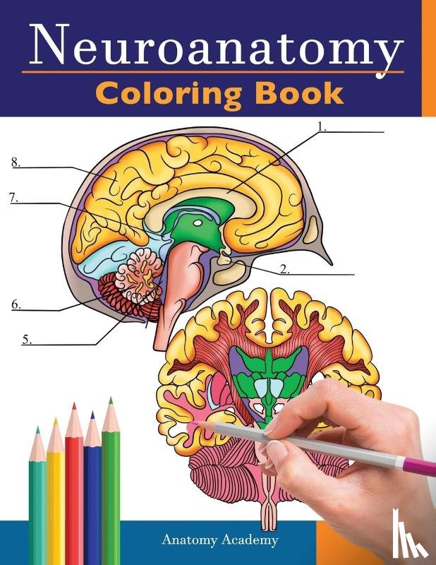 Academy, Anatomy - Neuroanatomy Coloring Book
