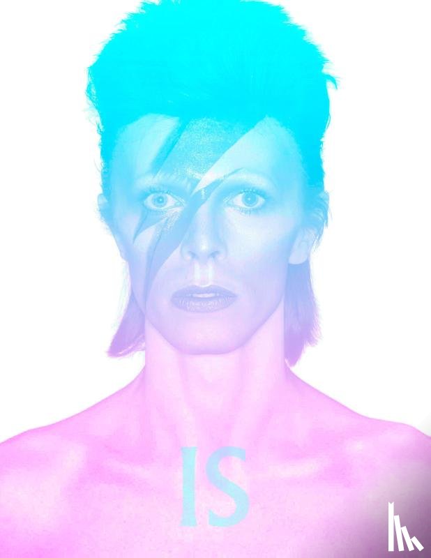  - David Bowie Is