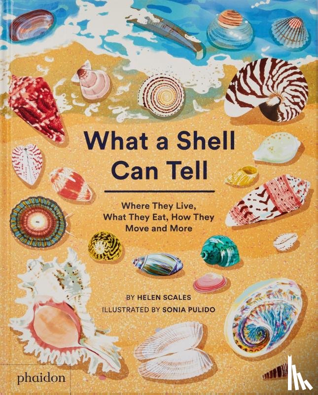 Scales, Helen, Pulido, Sonia - What A Shell Can Tell