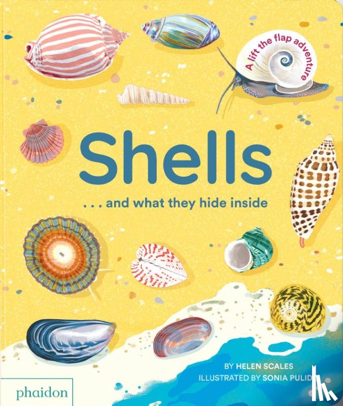 Scales, Helen, Pulido, Sonia - Shells... and what they hide inside