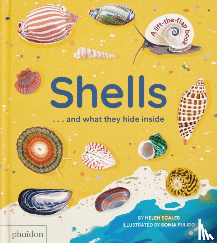 Scales, Helen, Pulido, Sonia - Shells... and what they hide inside