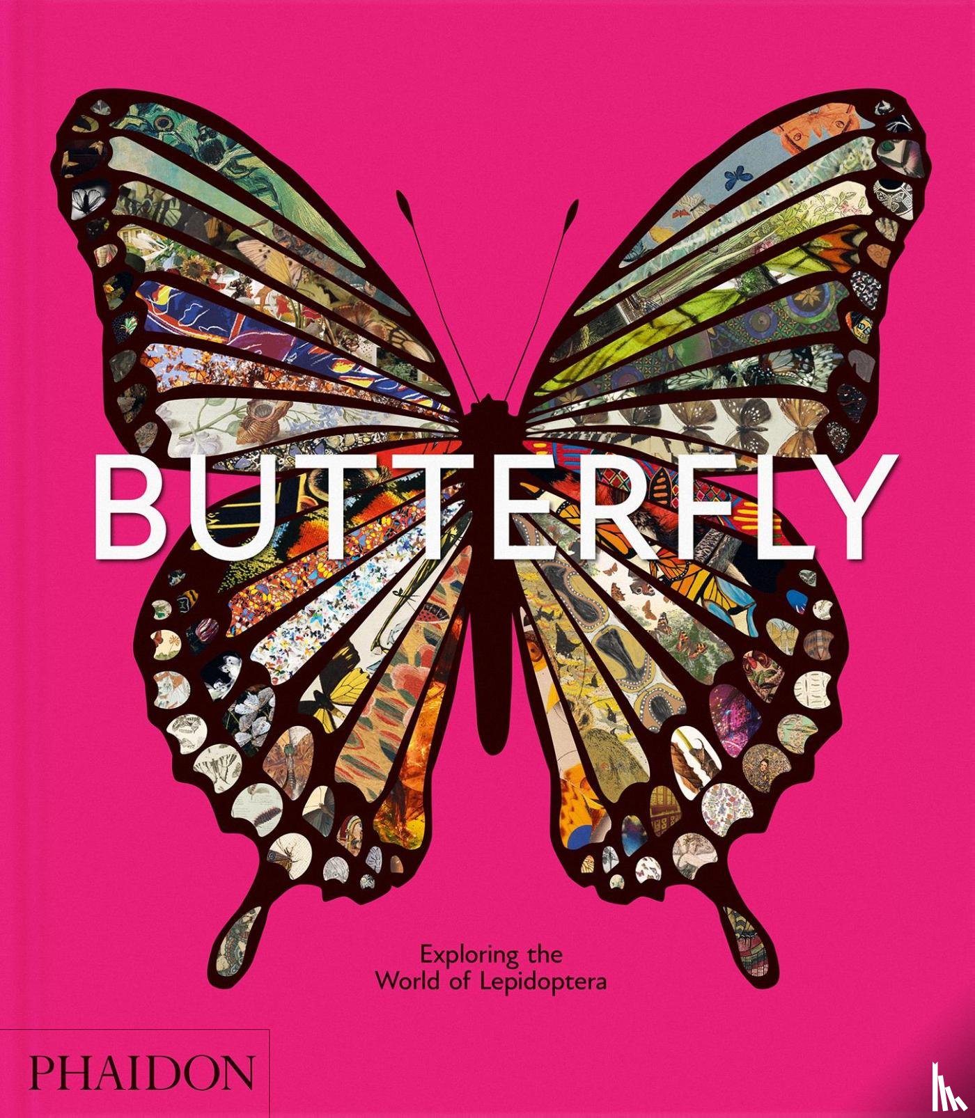 Editors, Phaidon, G James, David, Riessen, Tamar van, Moss, Nate - Butterfly