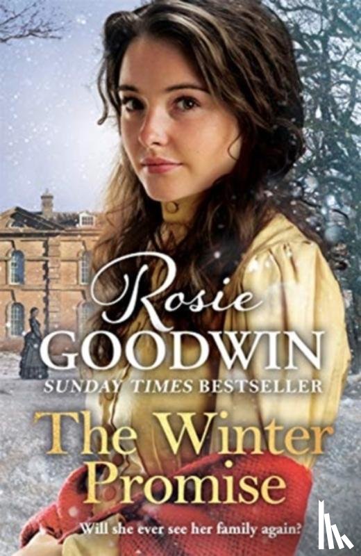 Goodwin, Rosie - The Winter Promise