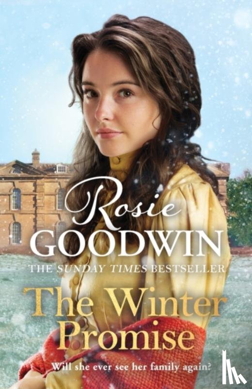 Goodwin, Rosie - The Winter Promise