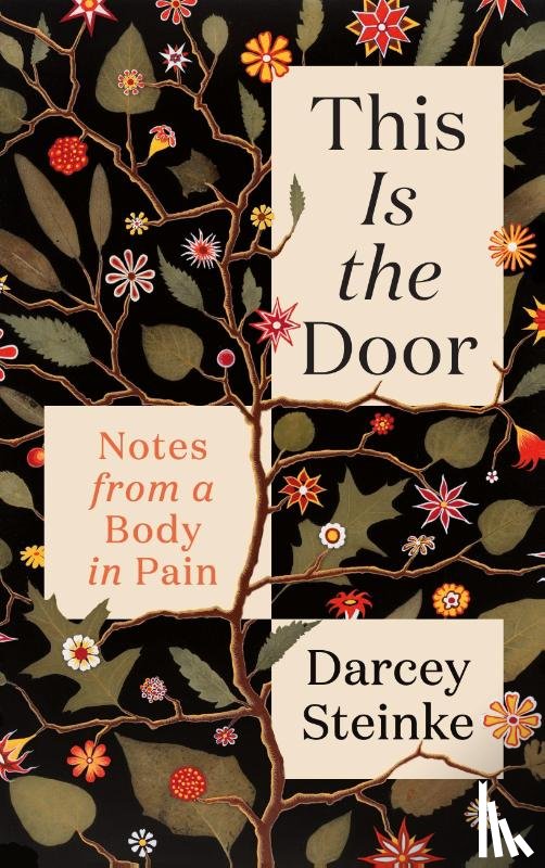 Steinke, Darcey - This Is the Door