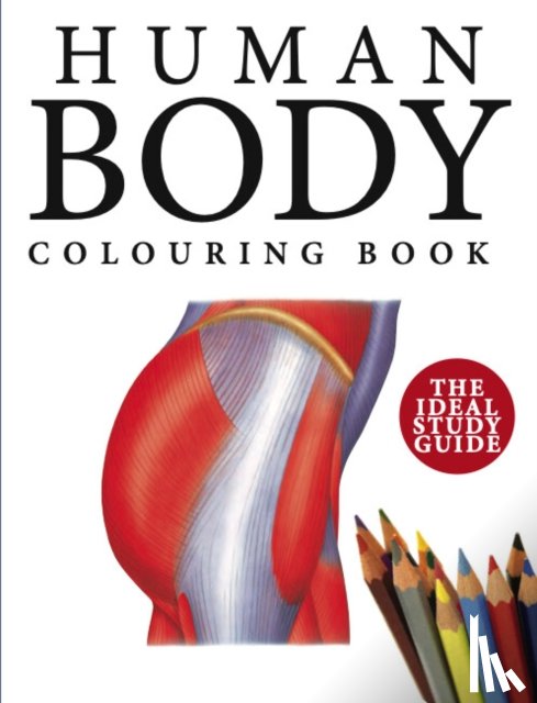 Abrahams, Peter - Human Body Colouring Book