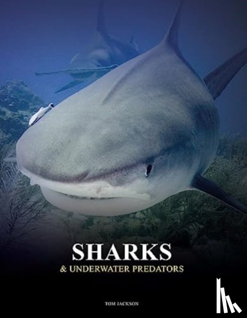 Jackson, Tom - Sharks and Underwater Predators