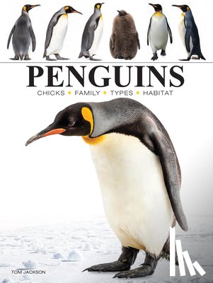 Jackson, Tom - Penguins